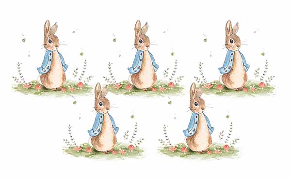 UV-DTF DECAL - Peter Rabbit On His Own
