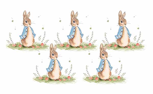 DTF TRANSFER - Petter Rabbit On Grass