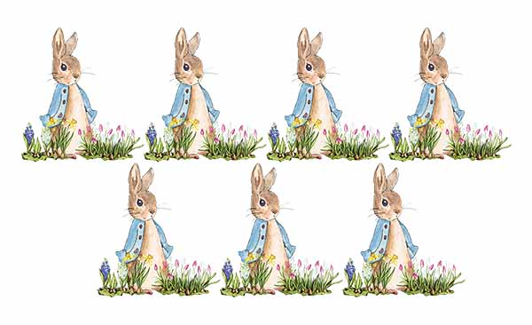 UV-DTF DECAL -  Peter Rabbit Design.
