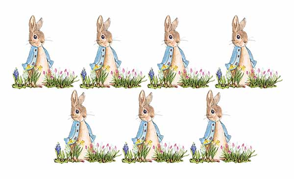 DTF TRANSFER - Peter Rabbit With Spring Flowers