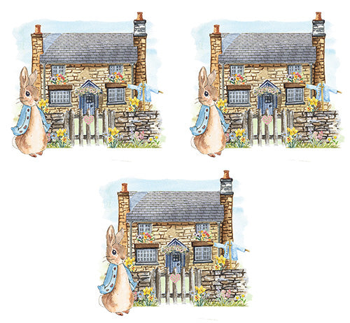 UV-DTF DECAL - Petter Rabbit And His House